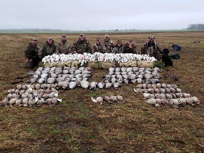 A group of hunters behind their waterfowl kill.